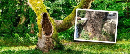 beratung full beratung full - beratung_full.jpg