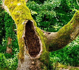 beratung thumb - beratung_thumb.jpg