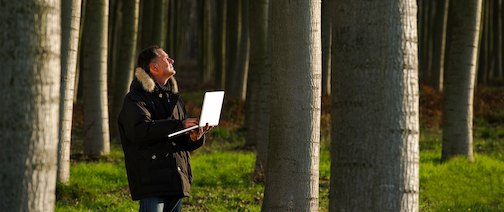 baumgutachter full baumgutachter full - baumgutachter_full.jpg