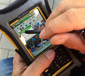 baumbeurteilung thumb - baumbeurteilung_thumb.jpg