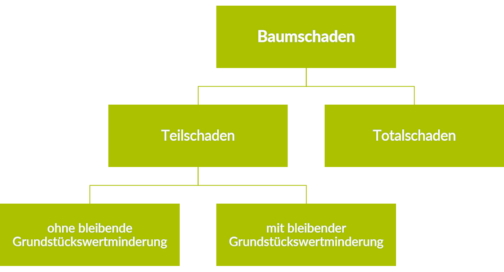 arten von baumschaeden arten von baumschaeden - arten_von_baumschaeden.png